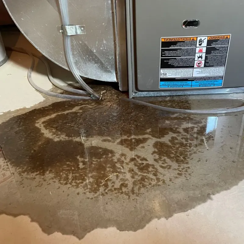 Pipe Burst and Leak Restoration in Fuig, PR